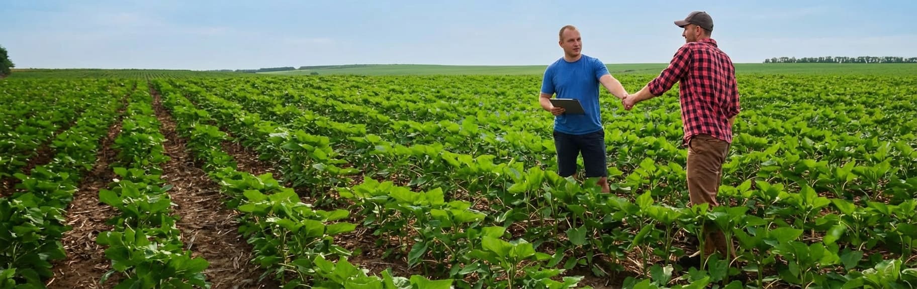 YVY Agricultura Digital
