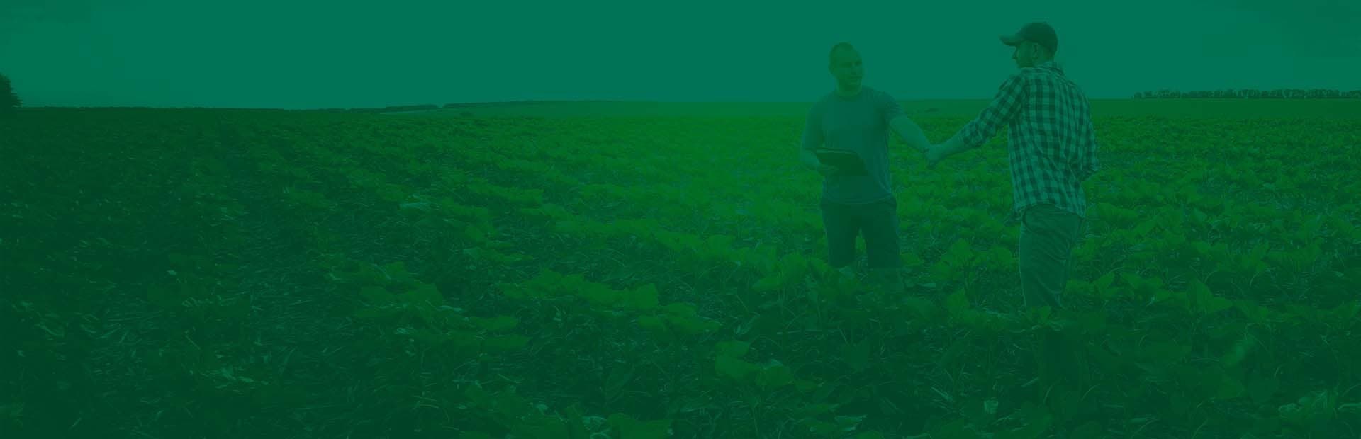 YVY Agricultura Digital