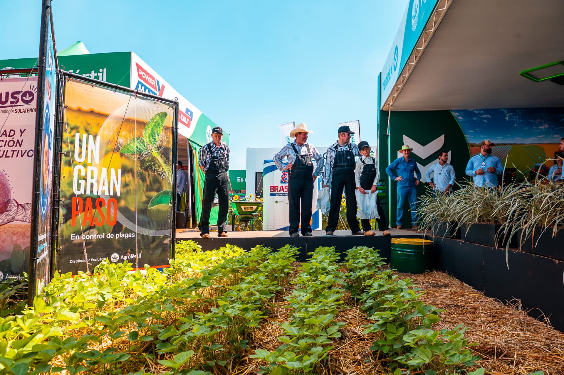 Fungicida Sotano e insecticida UNIA protección de cultivos Agrofértil