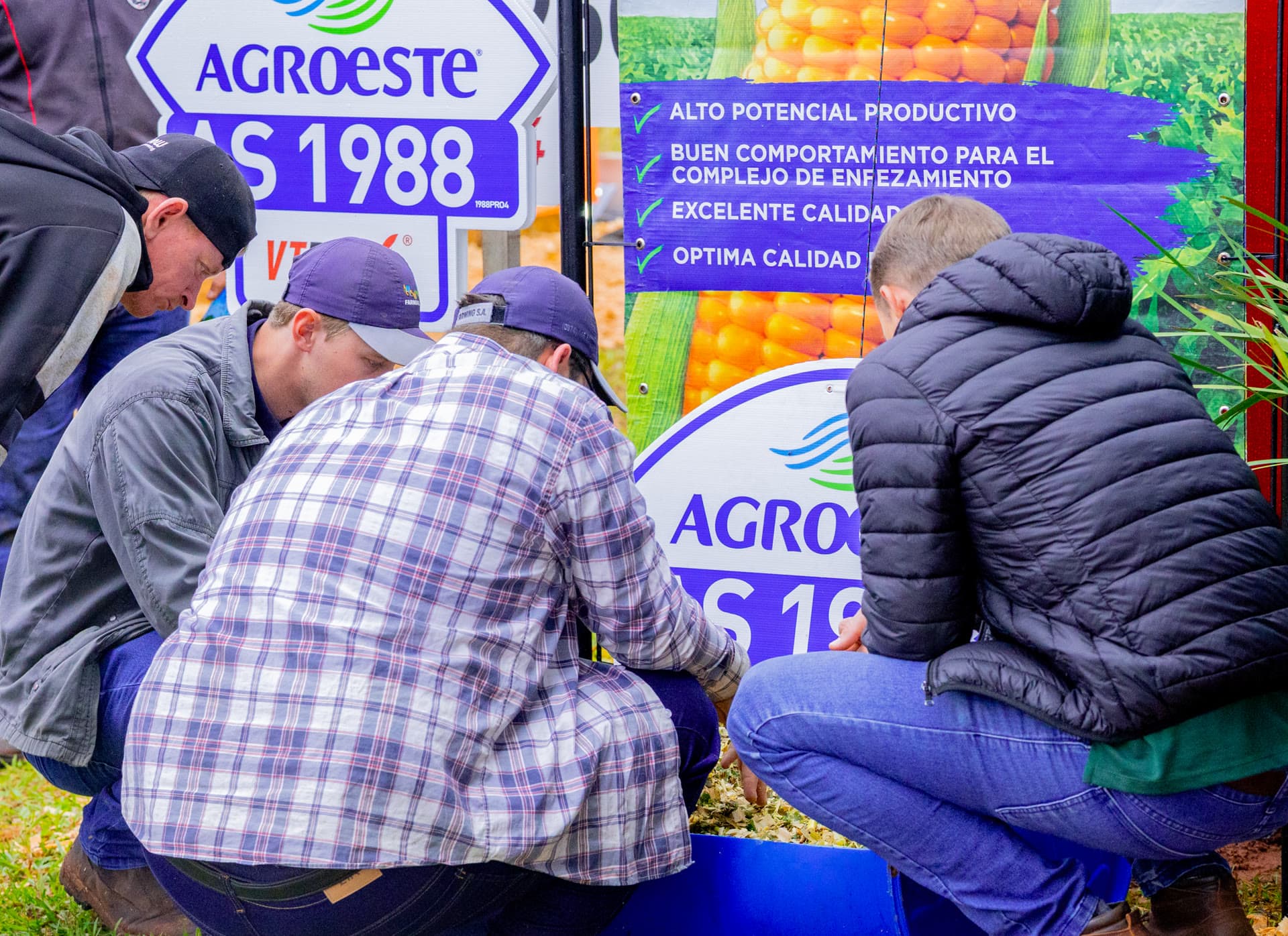 Productores conocen el híbrido Agroeste AS 1988 PRO4 en la Expo Cooprolanda 2026