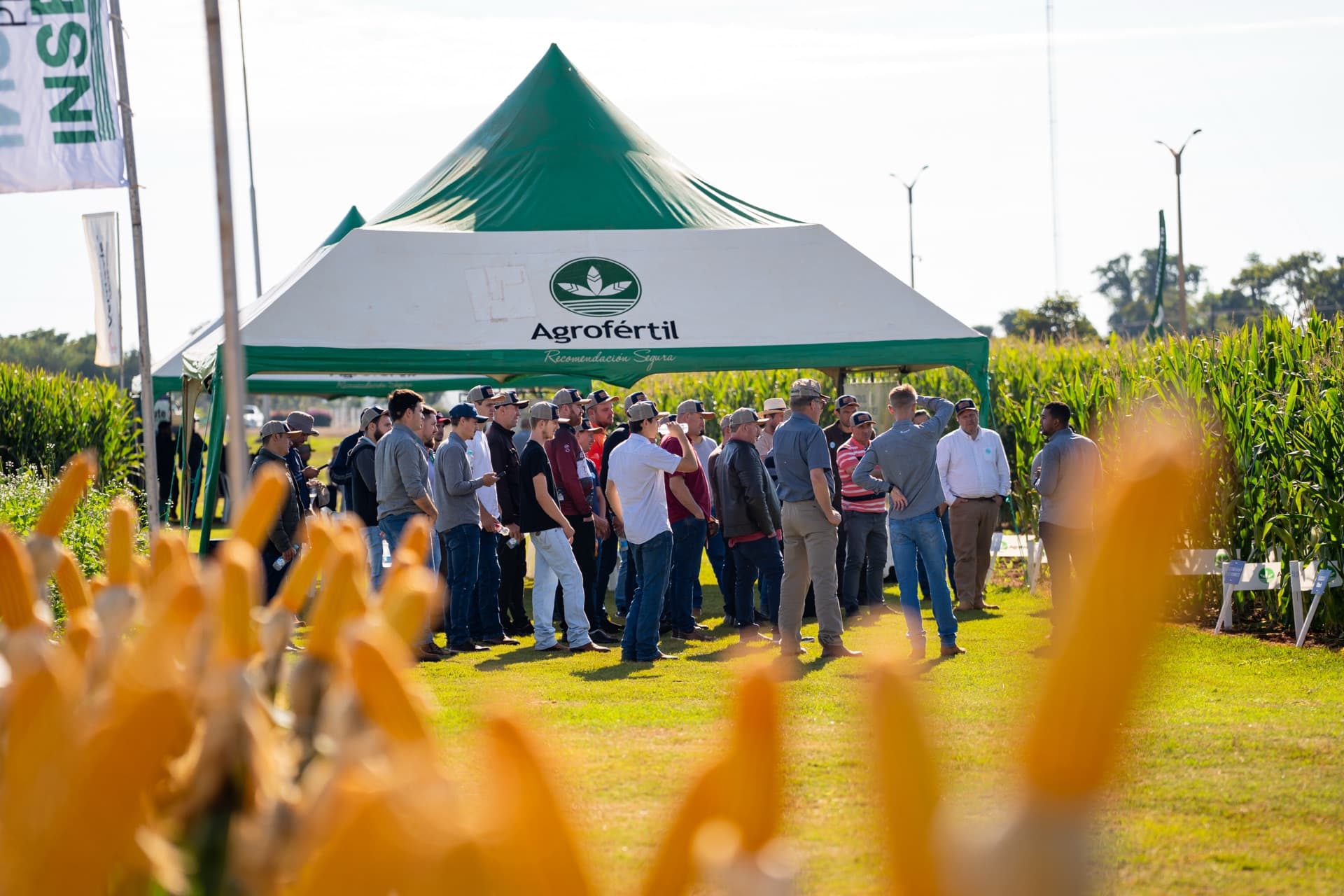 Productores reciben capacitación sobre fertilización para altos rindes en maíz