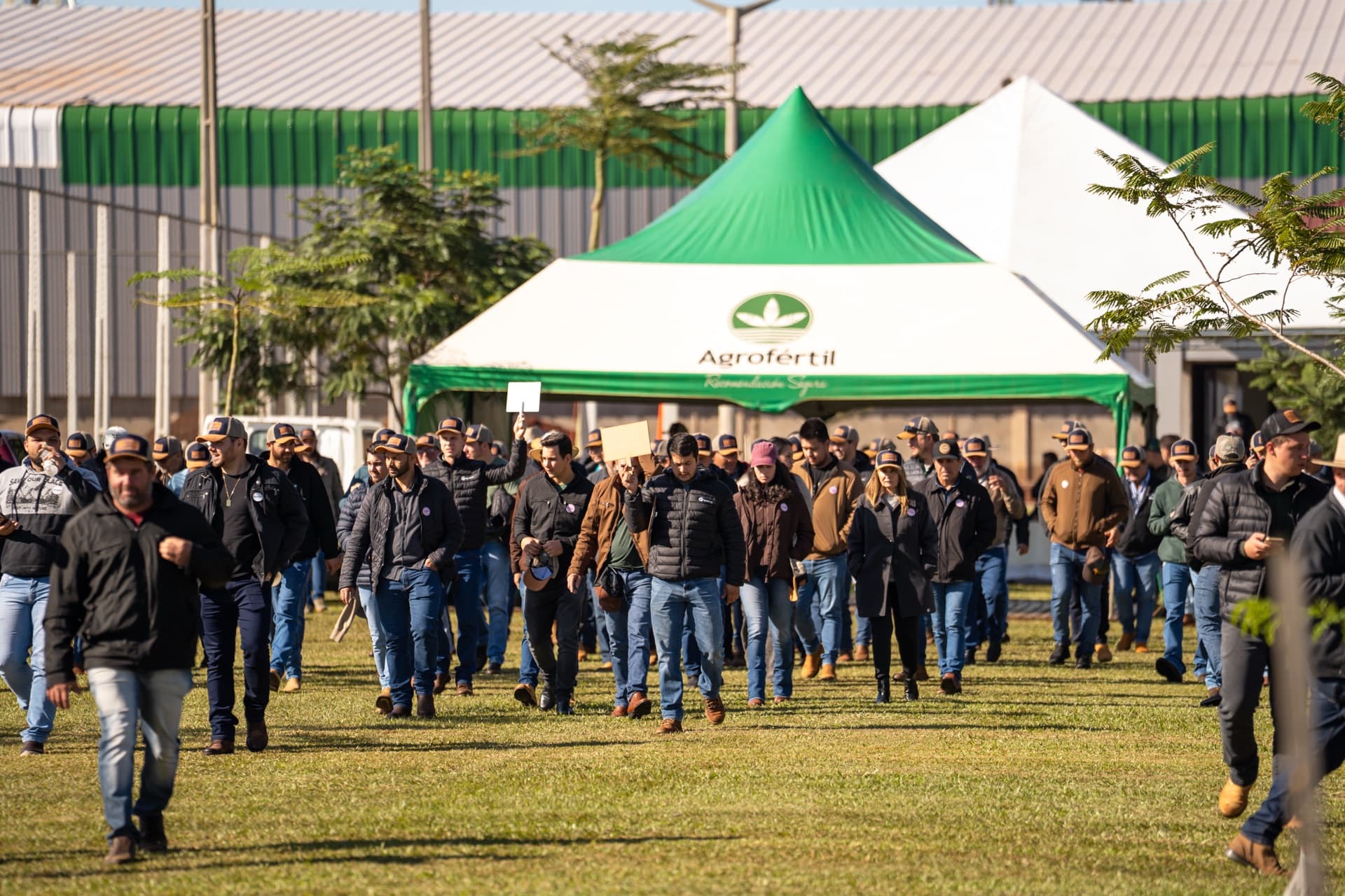 Productores ingresan al encuentro tecnológico de maíz de Agrofértil