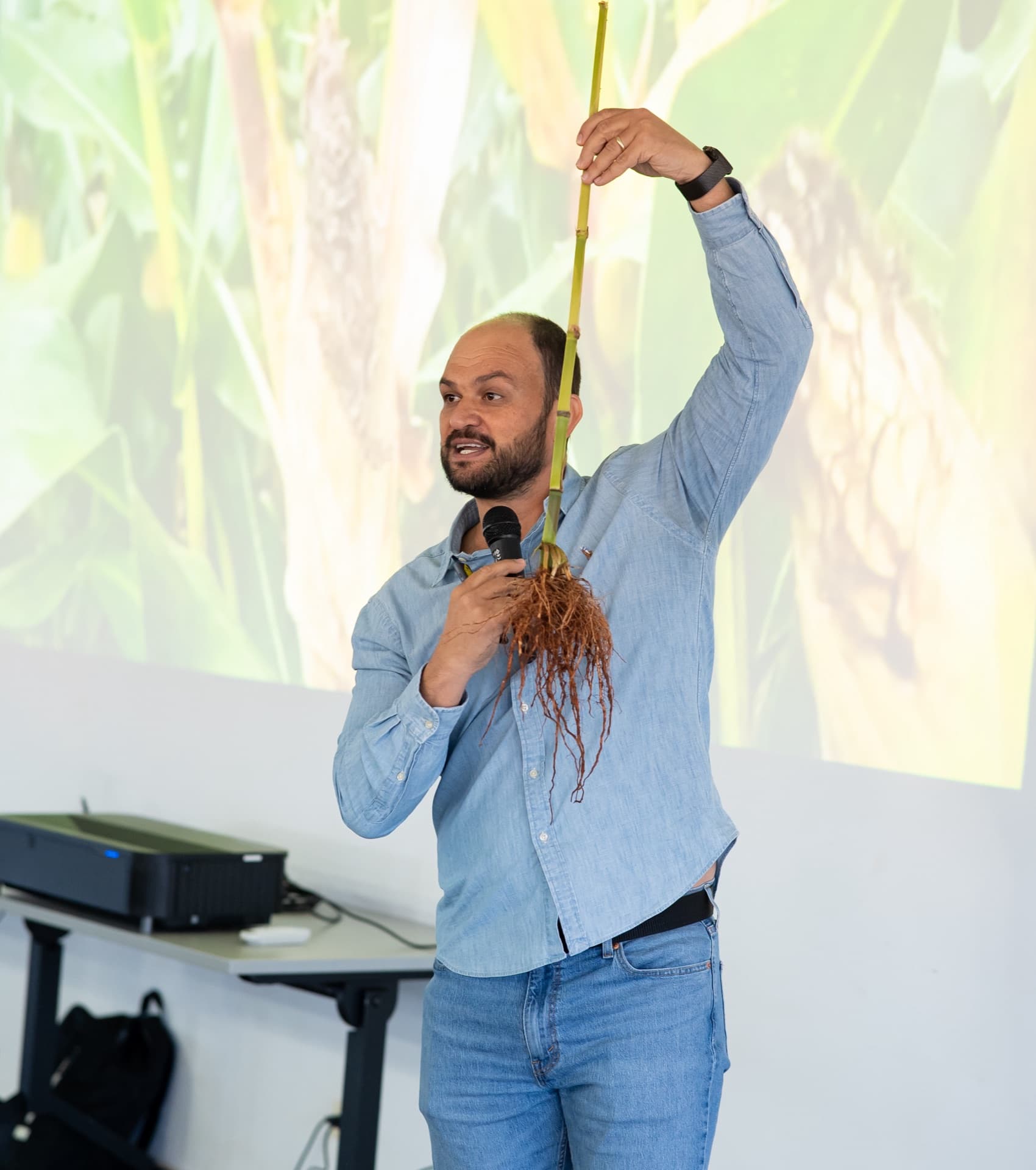 Lucas Navarini explica manejo sanitario de maíz con una planta en mano